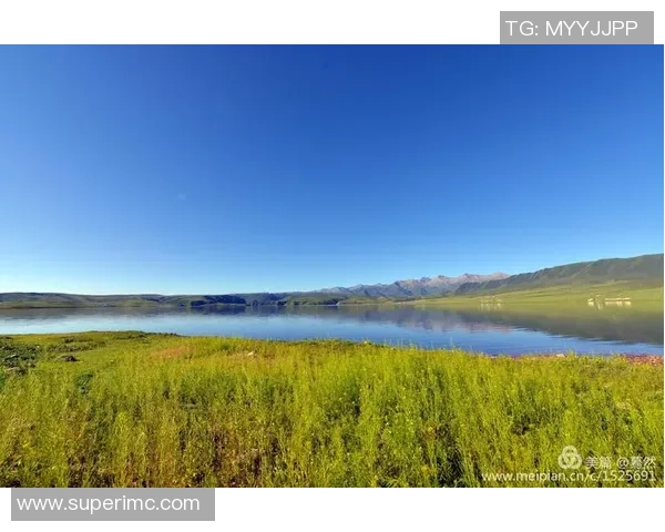 云相册与精彩集锦助你轻松记录与分享每一次观赛的美好瞬间